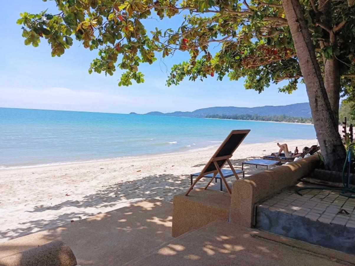 Chill Inn Lipa Noi Hostel And Beach Cafe Ko Samui Exteriér fotografie